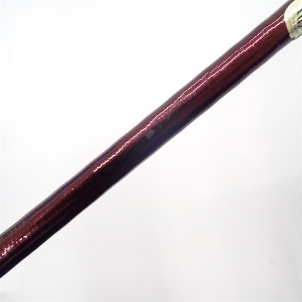 １０スコーピオンＸＴ１６３１ＦＦ